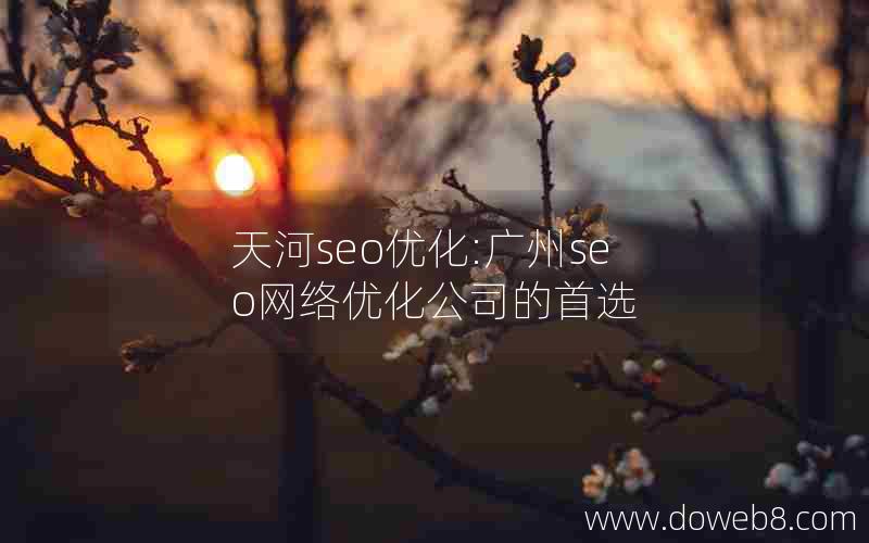 天河seo优化:广州seo网络优化公司的首选