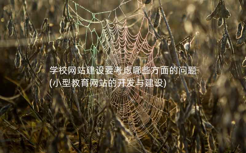 学校网站建设要考虑哪些方面的问题，小型教育网站的开发与建设