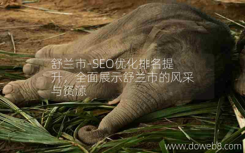 舒兰市-SEO优化排名提升，全面展示舒兰市的风采与资源
