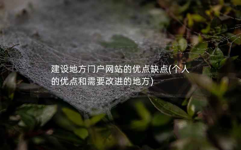 建设地方门户网站的优点缺点，个人的优点和需要改进的地方