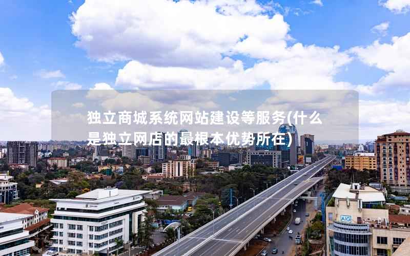 独立商城系统网站建设等服务，什么是独立网店的最根本优势所在