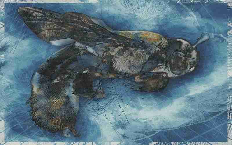 外部链接的作用及获取方法