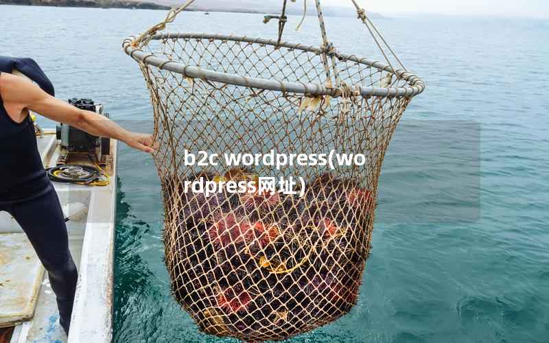 b2c WordPress，WordPress网址