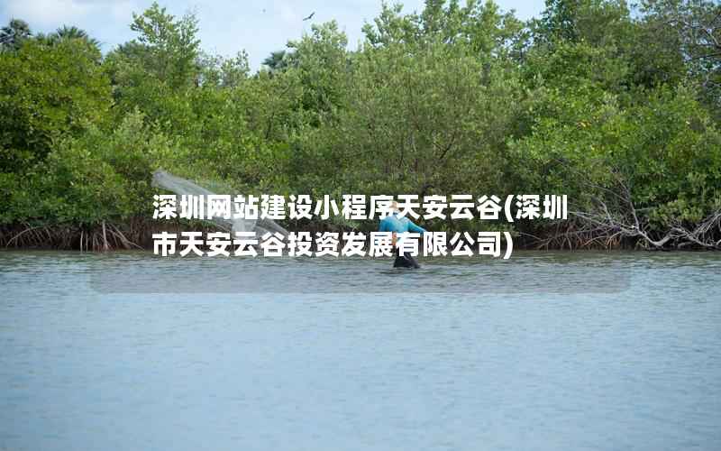 深圳网站建设小程序天安云谷，深圳市天安云谷投资发展有限公司