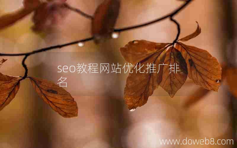 seo教程网站优化推广排名