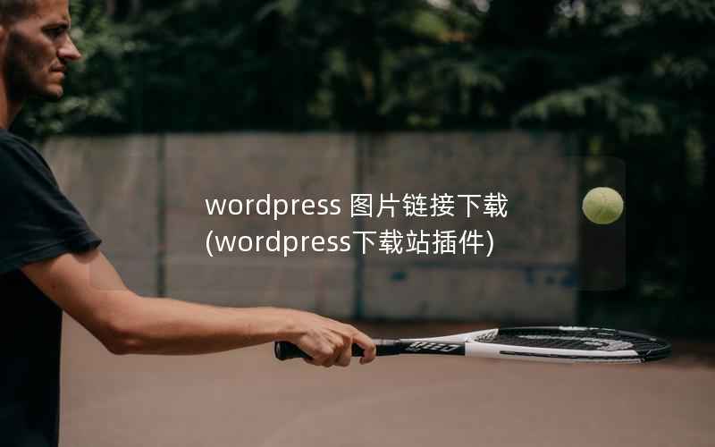 WordPress 图片链接下载，WordPress下载站插件