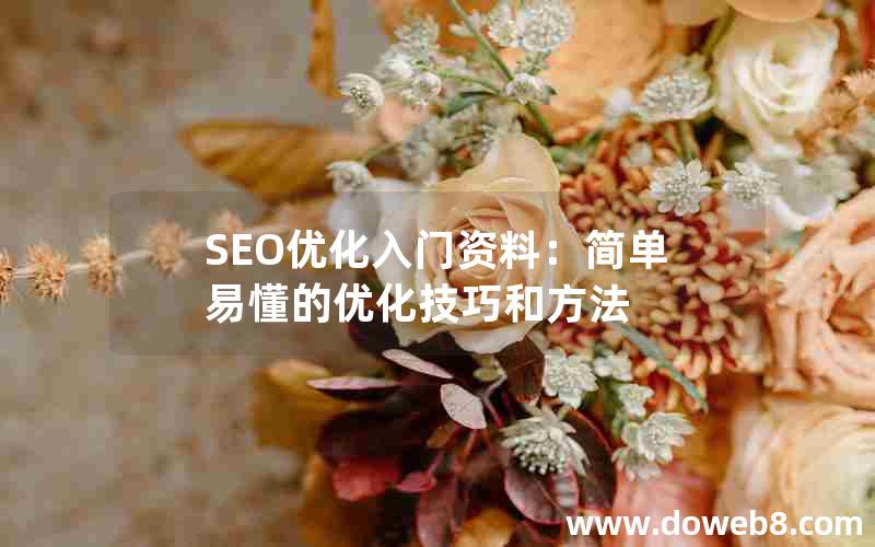 SEO优化入门资料：简单易懂的优化技巧和方法