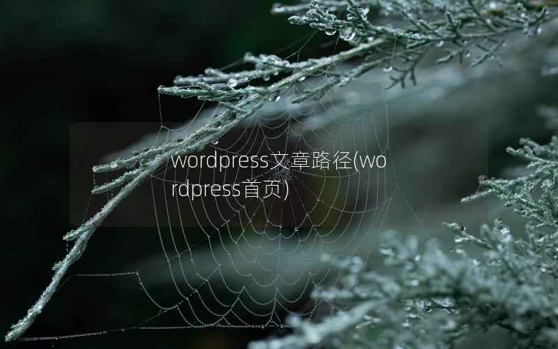 WordPress文章路径，WordPress首页