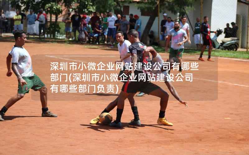 深圳市小微企业网站建设公司有哪些部门，深圳市小微企业网站建设公司有哪些部门负责