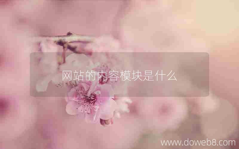 网站的内容模块是什么