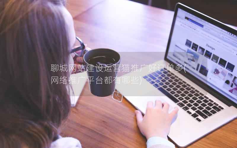 聊城网站建设运营猫推广好订单多，网络推广平台都有哪些