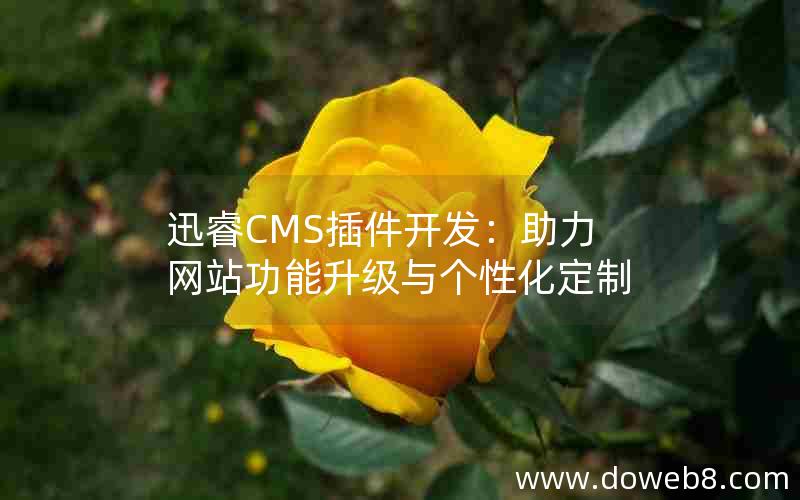 迅睿cms插件开发：助力网站功能升级与个性化定制