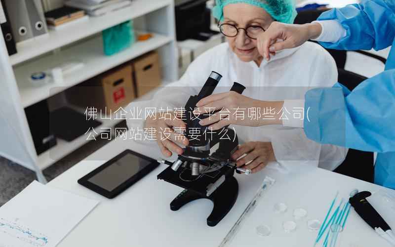佛山企业网站建设平台有哪些公司，公司网站建设需要什么
