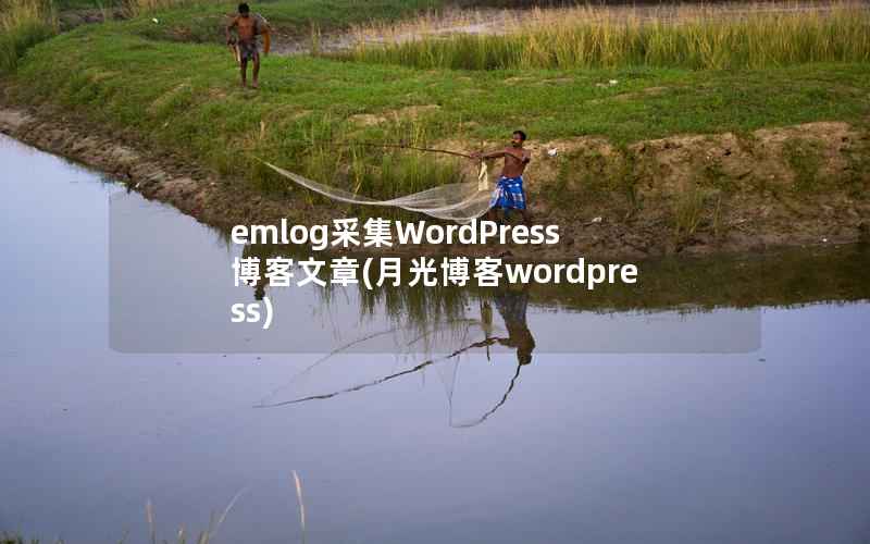 emlog采集WordPress博客文章，月光博客WordPress