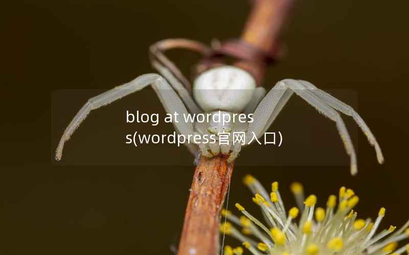blog at wordpress，wordpress官网入口