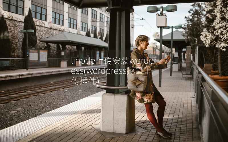 linode上传安装WordPress，WordPress批量上传插件