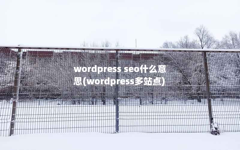 WordPress seo什么意思，WordPress多站点