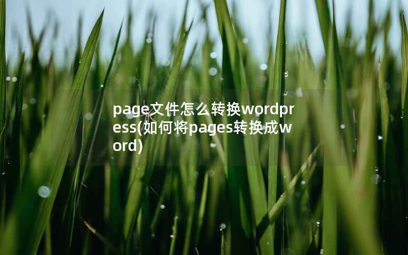 page文件怎么转换wordpress,如何将pages转换成word page文件怎么转换wordpress,如何将pages转换成word