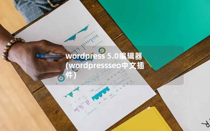 WordPress 5.0编辑器，WordPressseo中文插件