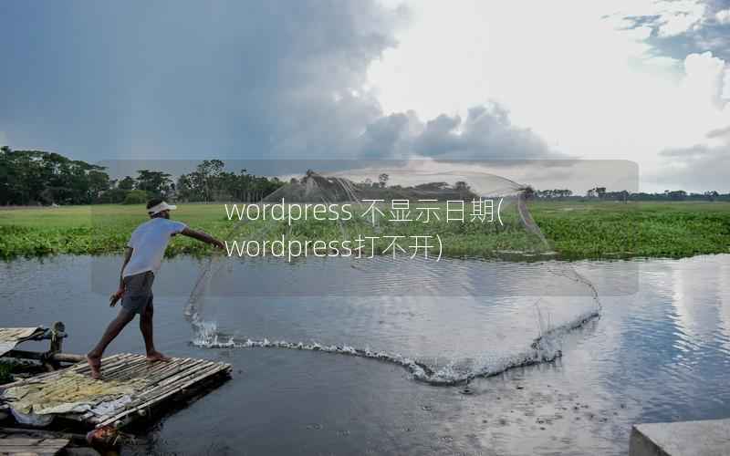 WordPress 不显示日期，WordPress打不开