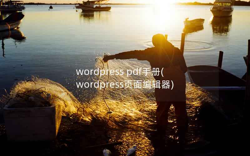wordpress pdf手册，wordpress页面编辑器
