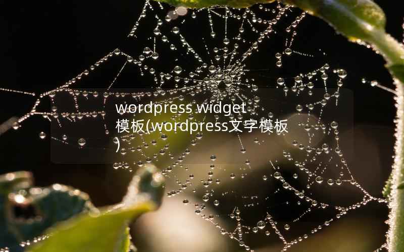 WordPress widget 模板，WordPress文字模板