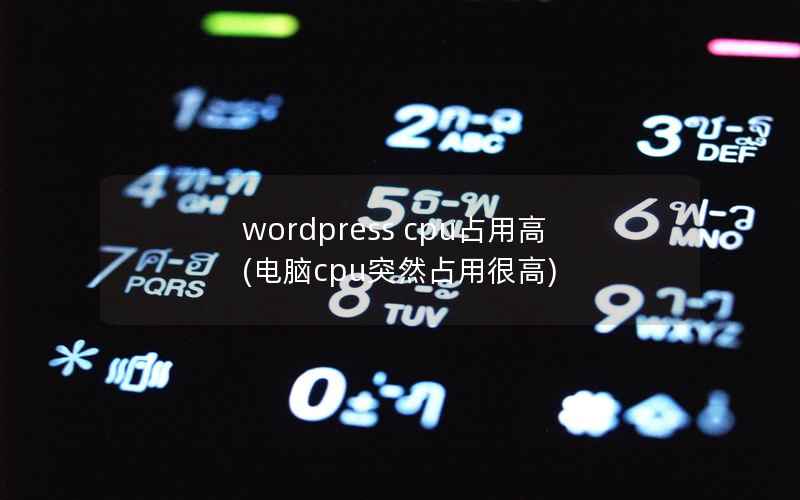 wordpress cpu占用高，电脑cpu突然占用很高