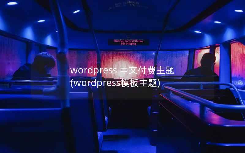 wordpress 中文付费主题，wordpress模板主题