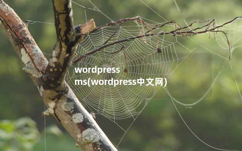 wordpress ms，wordpress中文网