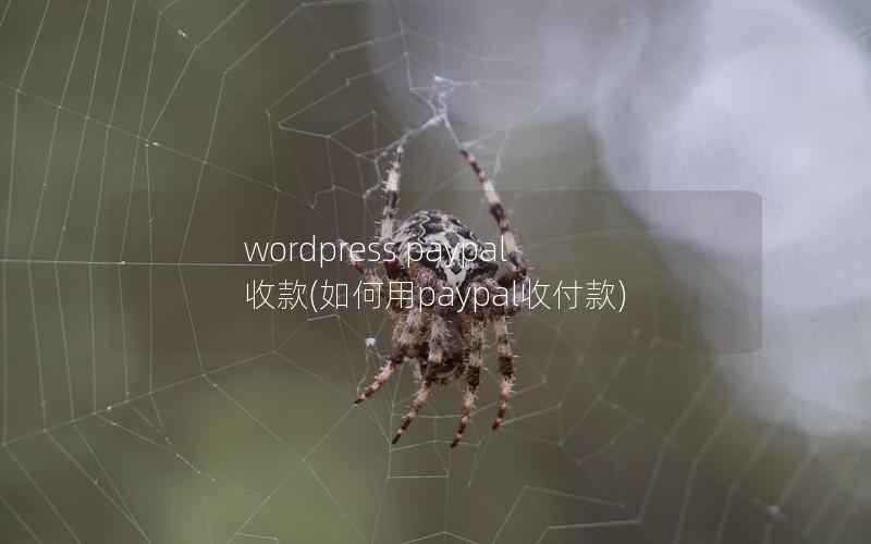 wordpress paypal 收款，如何用paypal收付款