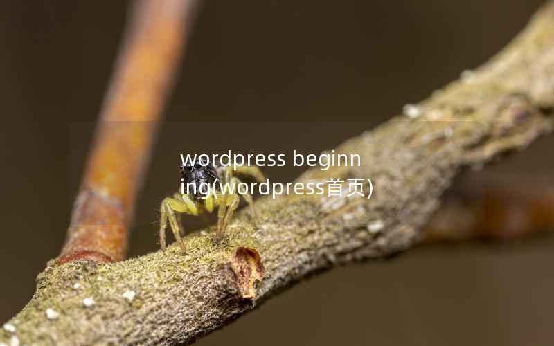 WordPress beginning，WordPress首页