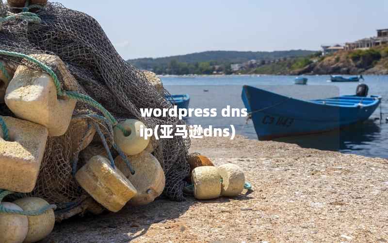 wordpress dns ip,亚马逊dns wordpress dns ip,亚马逊dns