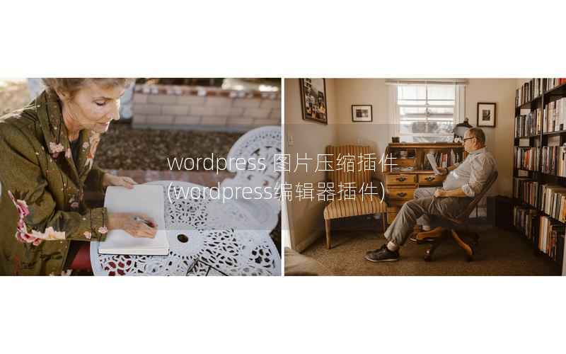 WordPress 图片压缩插件，WordPress编辑器插件