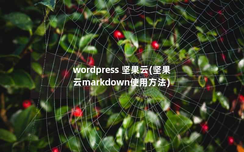 WordPress 坚果云，坚果云markdown使用方法