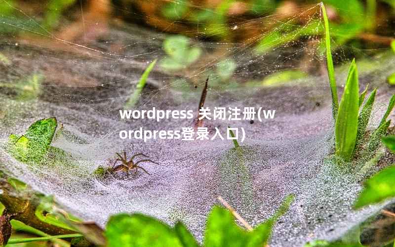 WordPress 关闭注册，WordPress登录入口