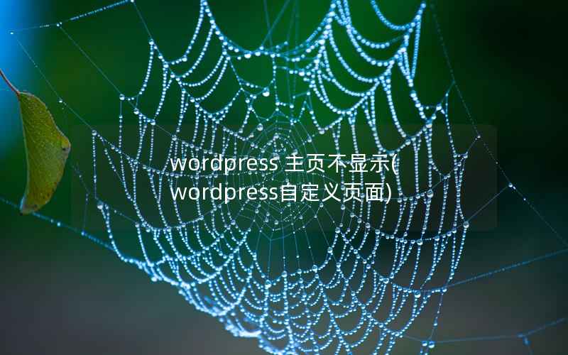 wordpress 主页不显示,wordpress自定义页面 wordpress 主页不显示,wordpress自定义页面