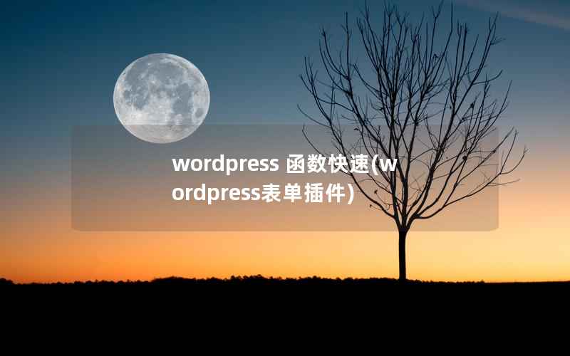 wordpress 函数快速，wordpress表单插件