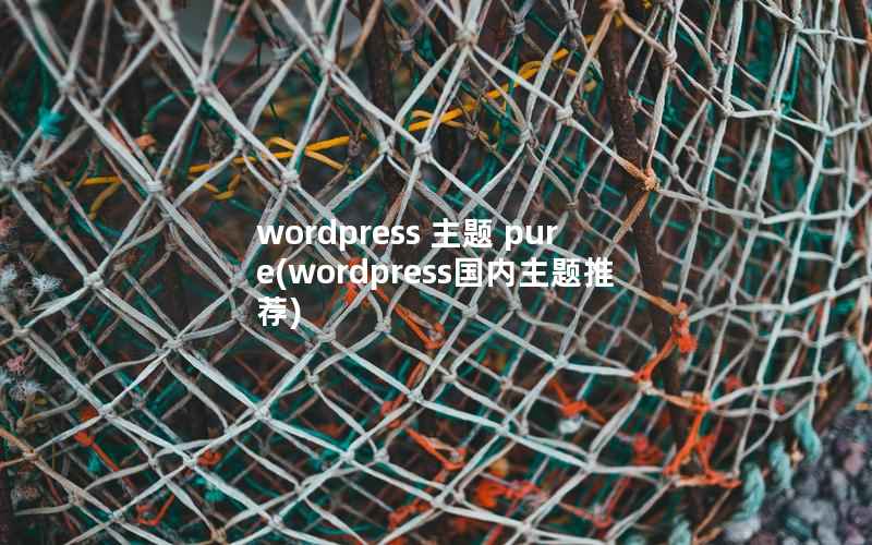 WordPress 主题 pure，WordPress国内主题推荐
