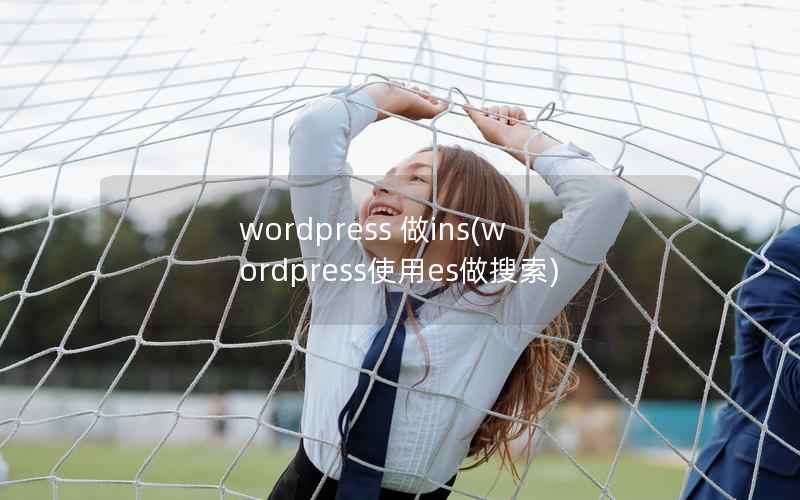 WordPress 做ins，WordPress使用es做搜索
