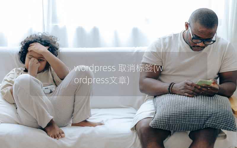 WordPress 取消标签，WordPress文章