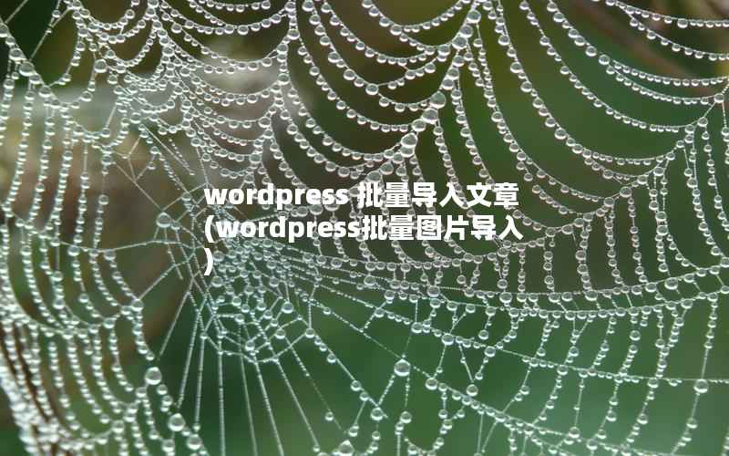 WordPress 批量导入文章，WordPress批量图片导入