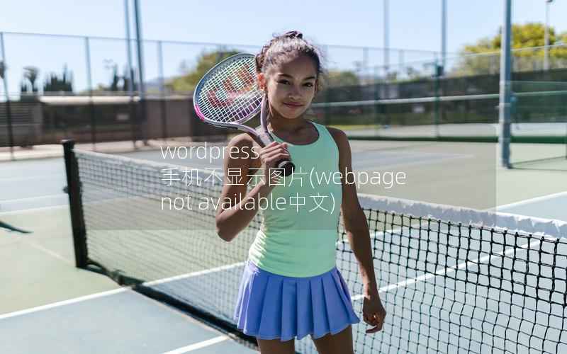 wordpress 手机不显示图片，webpage not available中文