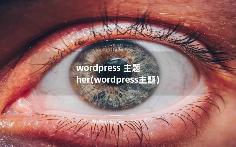 wordpress 主题 her，wordpress主题