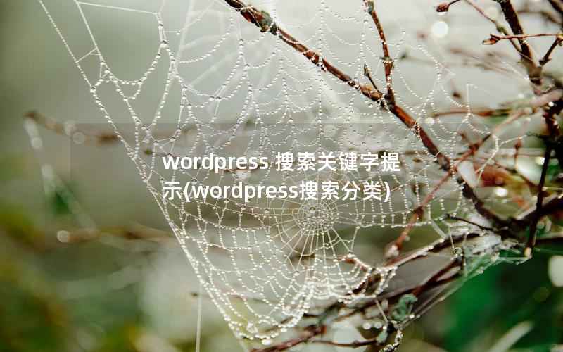 WordPress 搜索关键字提示，WordPress搜索分类