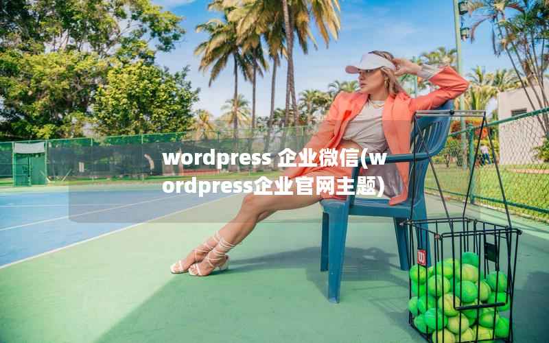 WordPress 企业微信，WordPress企业官网主题