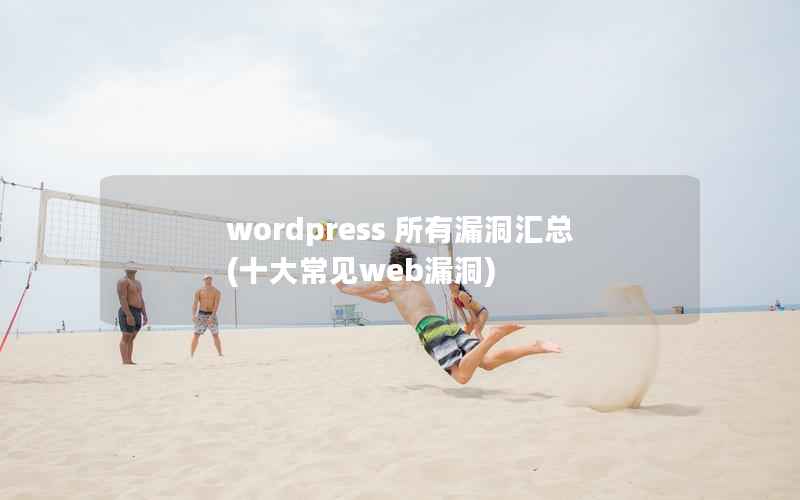 wordpress 所有漏洞汇总，十大常见web漏洞