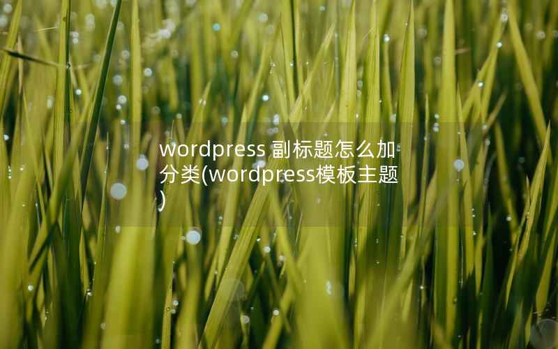 wordpress 副标题怎么加分类，wordpress模板主题