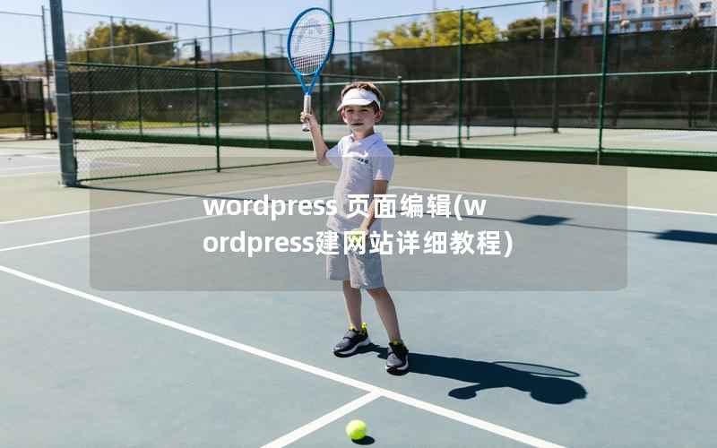 WordPress 页面编辑，WordPress建网站详细教程