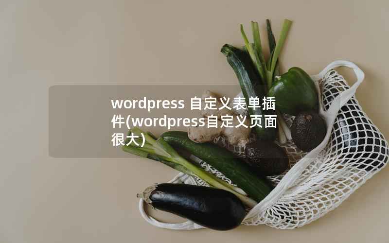 WordPress 自定义表单插件，WordPress自定义页面很大