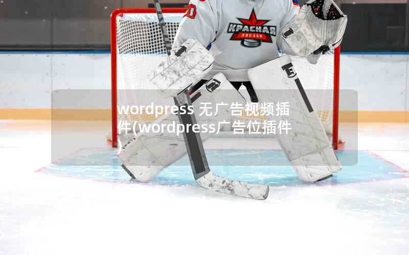WordPress 无广告视频插件，WordPress广告位插件